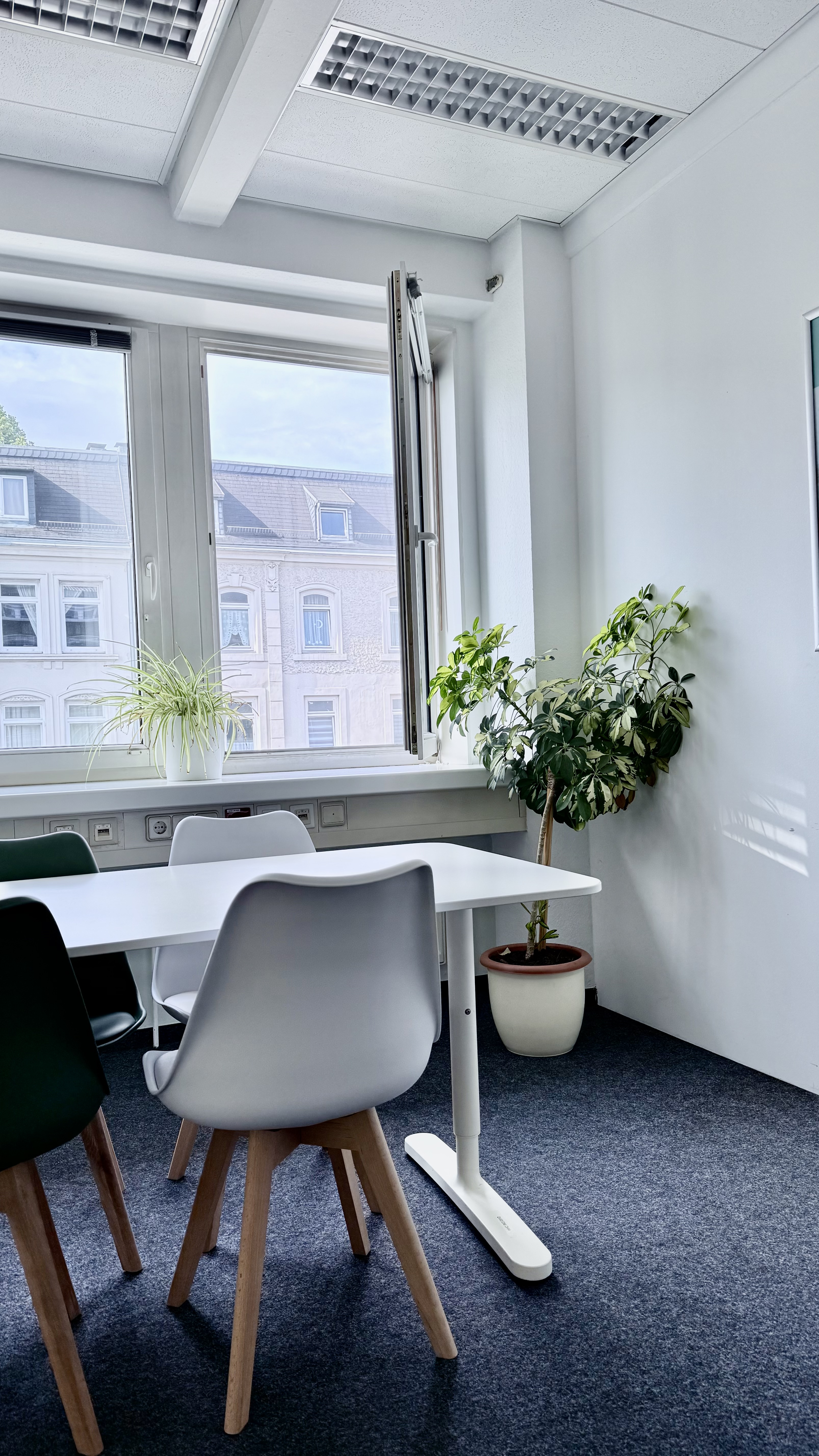 Standort Hamburg Tisch mit Stühlen und Pflanze und Fenster im Hintergrund